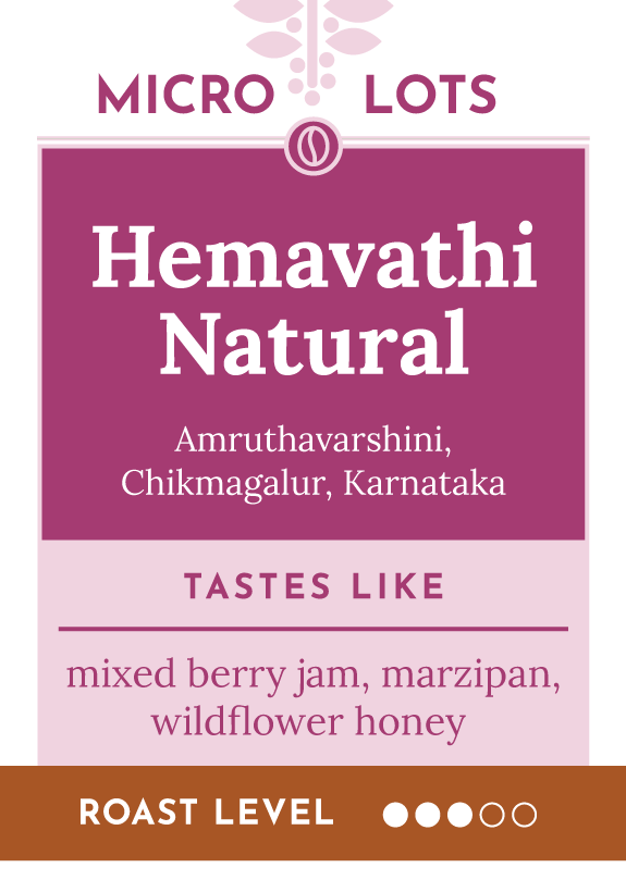 Amruthavarshini Hemavathi Natural. Single origin, Specialty Indian Coffee. Tasting notes include mixed berry jam, marzipan, wildflower honey, smooth and balanced cup, harmonious blend of fruity and nutty sweetness.