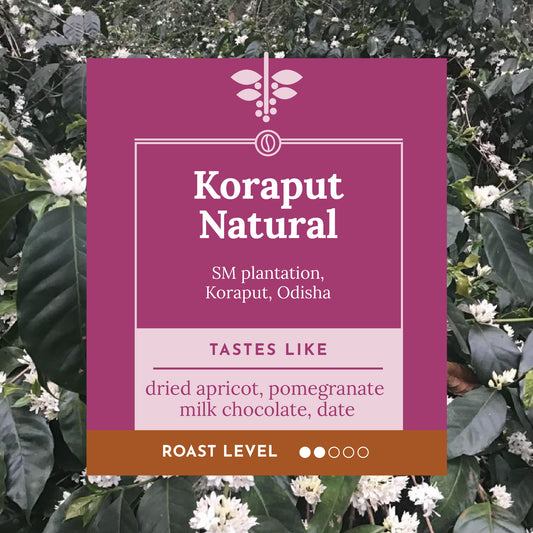 SM Plantation run by Satya Narayan Satapathy, boutique coffee farm in Koraput Odisha