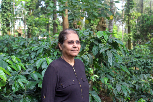 Amruthavarshini Coffee Farm, Aldur Hobli, Chikmagalur, sustainable eco-friendly farm dedicated to innovation and inclusivity