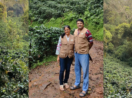 Sangameshwar Coffee Estates, Chikmagalur, Karnataka. Sustainable coffee farm dedicated to traceability, innovation, and inclusivity.