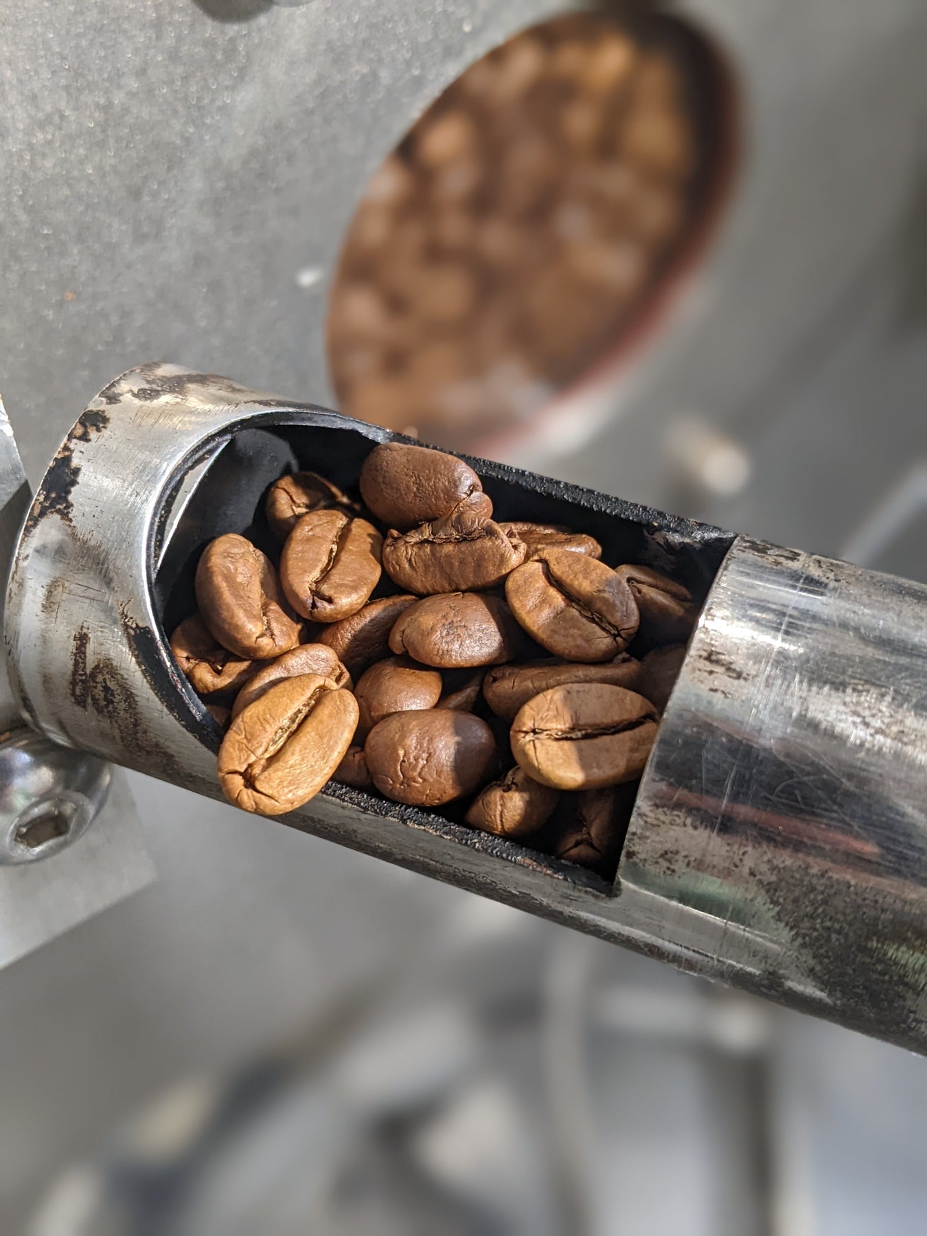 Signature Kaveri Coffee