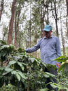 SM Plantation run by Satya Narayan Satapathy, boutique coffee farm in Koraput Odisha 